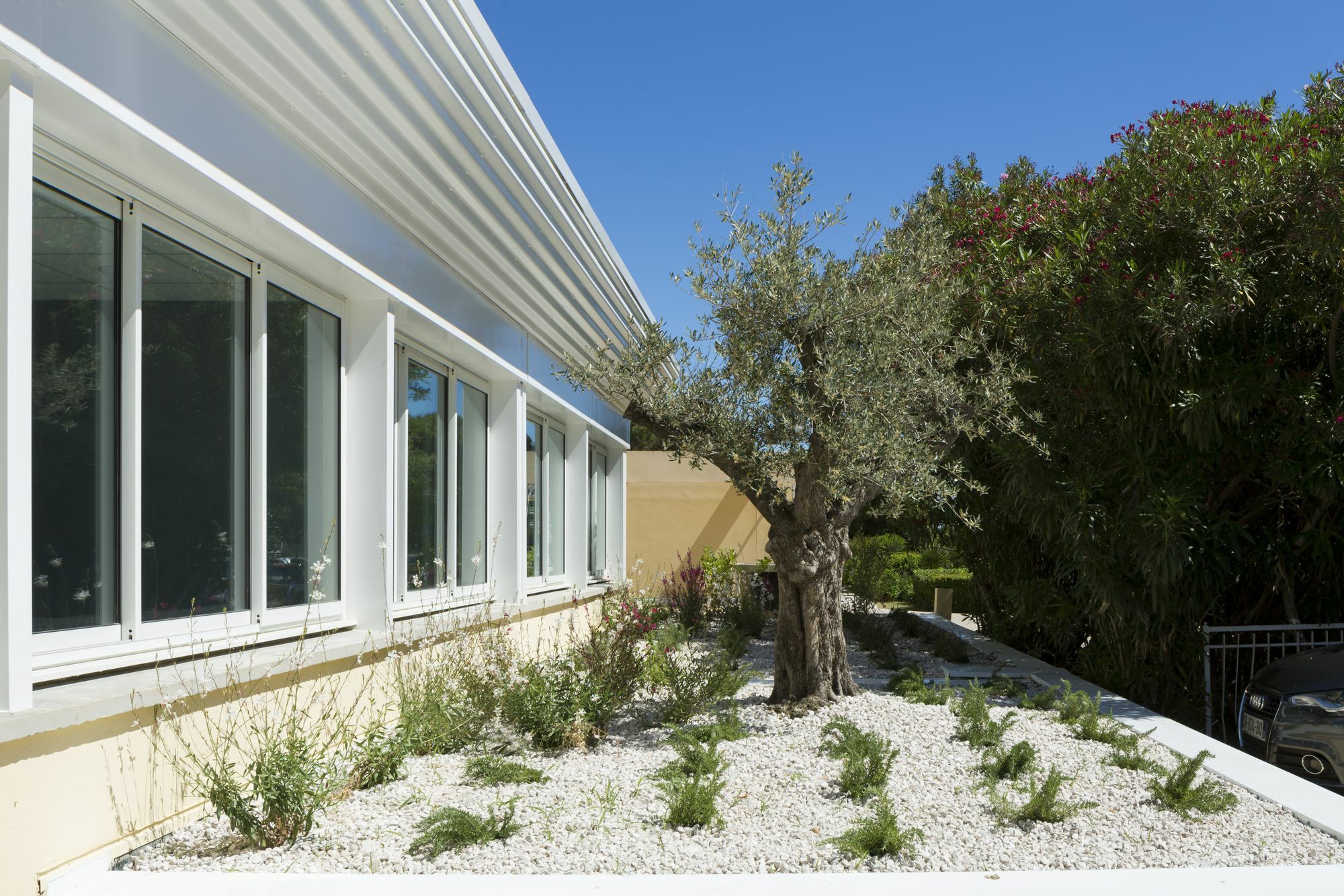 Logis Hotel Les Pins - Operalia Balaruc-les-Bains Εξωτερικό φωτογραφία